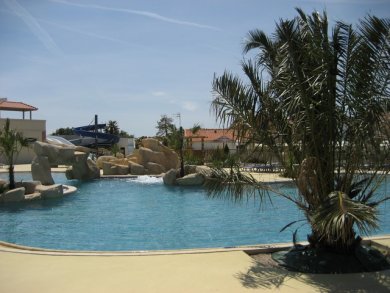 Piscine et palmiers : la Boutinardière